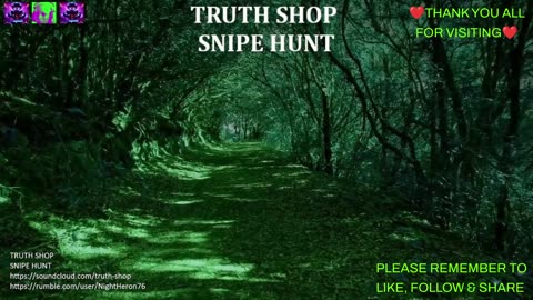 Truth Shop Radio : Live 24/7 Original Electronic Music