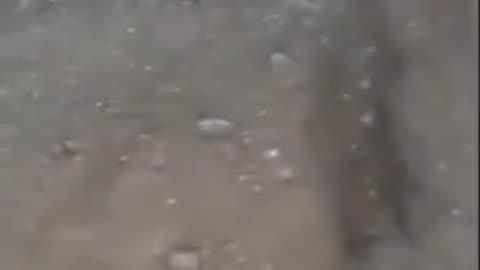 😱👻 Fallen Angel? Ghostly Entity in the Dark! | TheHauntingHour