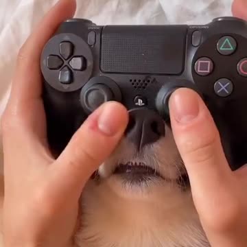 Extra power button on joystick