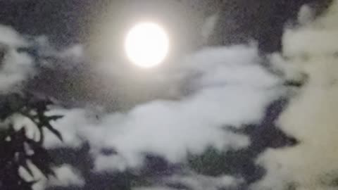 Buck moon praise 👏