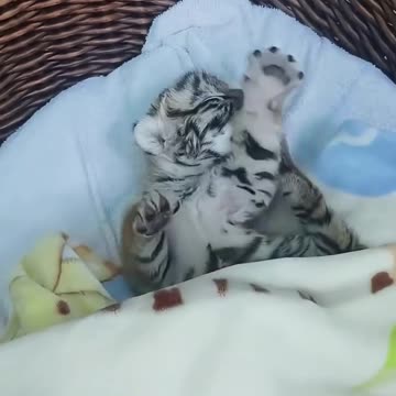 Oh no is it time to go to school already 😊