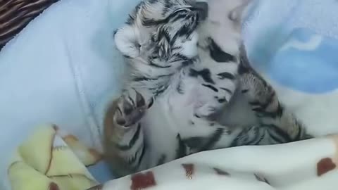 Oh no is it time to go to school already 😊