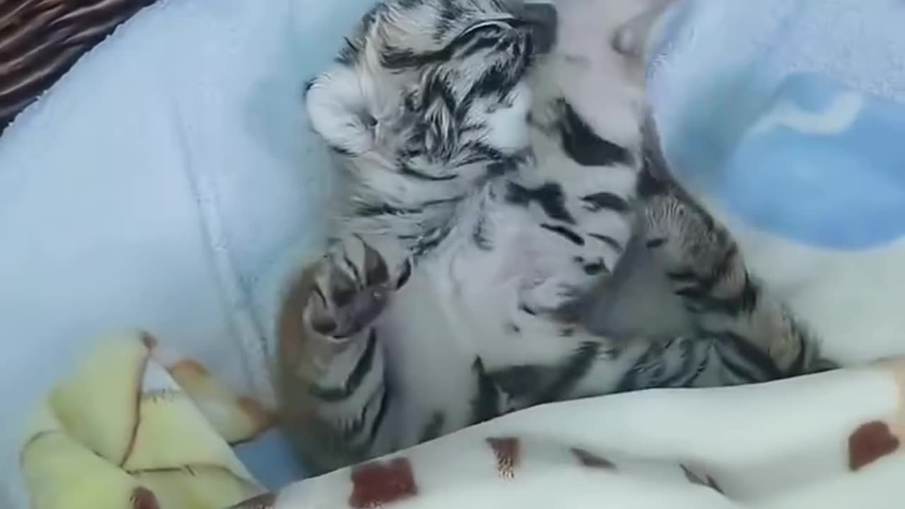 Oh no is it time to go to school already 😊