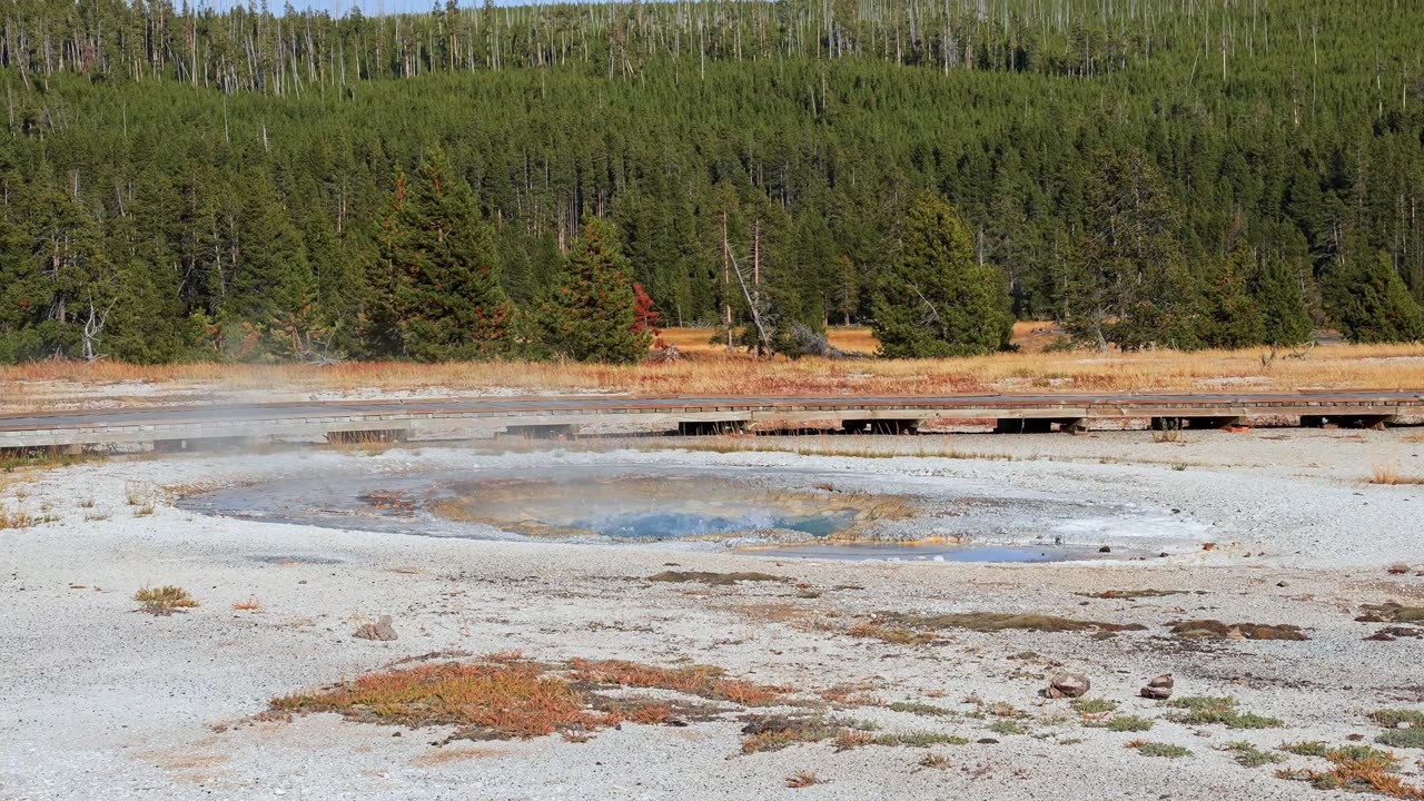 Top 10 Things To Do In Yellowstone National Park, Montana | Wildlife & Scenic Views in 4K