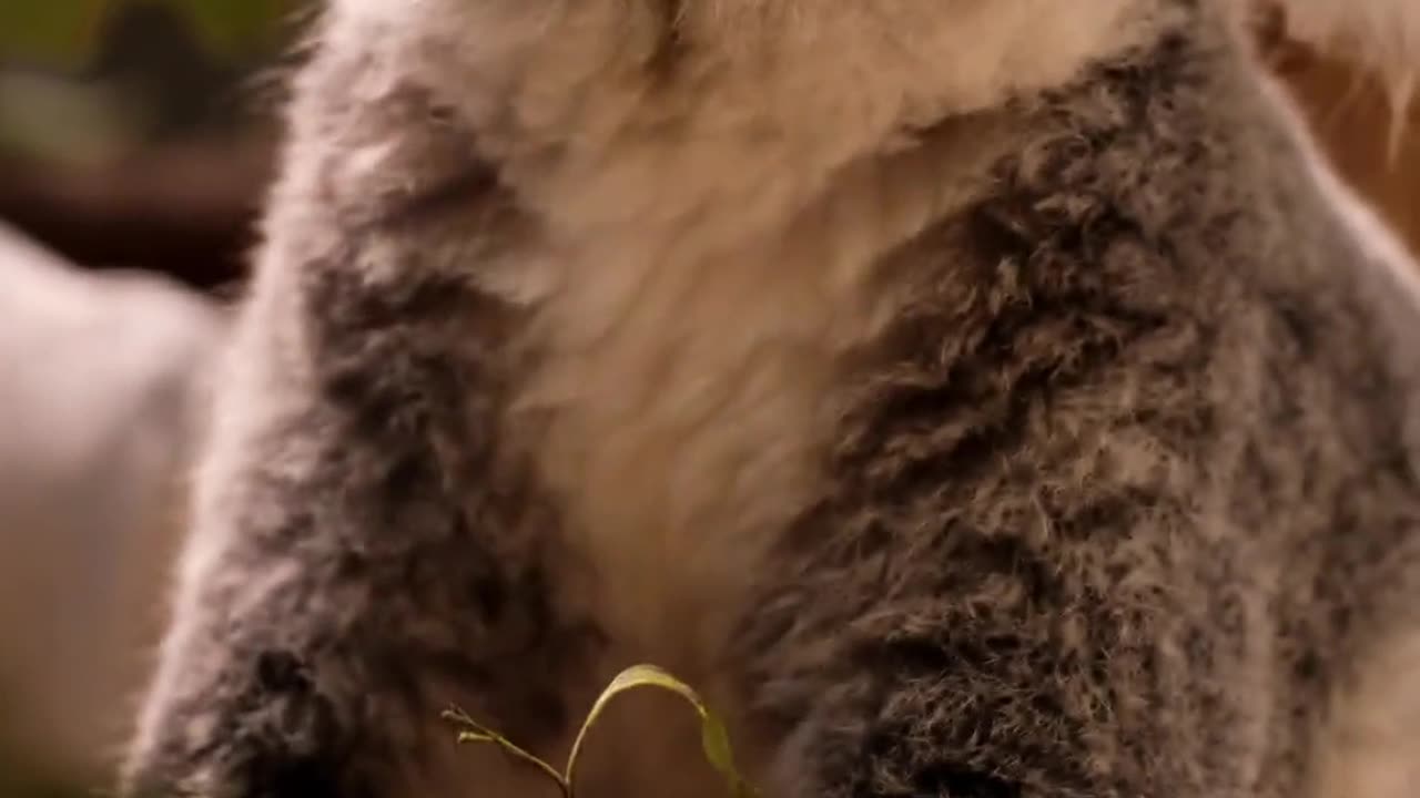 Greet Everyone with Your Heart Not Your Mind