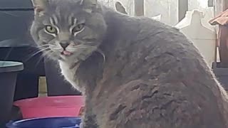 EA S184 - Good Morning