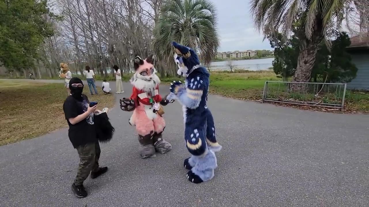 I Went to the BIGGEST Furry Picnic