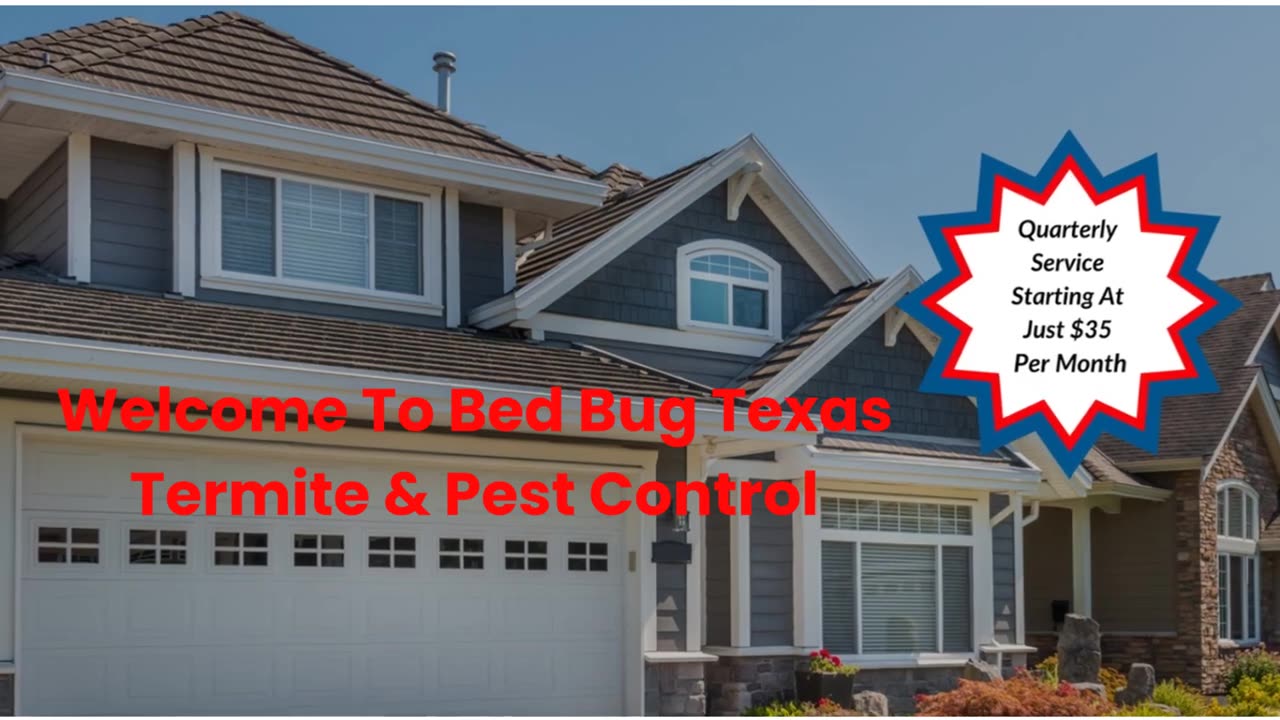 Bed Bug Texas Termite & Pest Control : Bed Bug Exterminator in Katy, TX