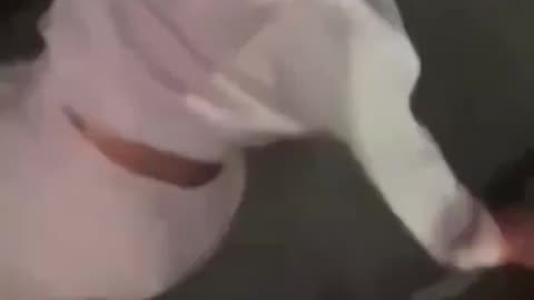 Women are not safe with them around.