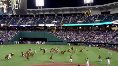 Outtake #1,068 Of Over 10 Monkeys Roam Around A Baseball Stadium Fake Funny Parody Video