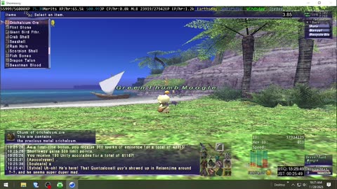 Playing Final Fantasy XI Online