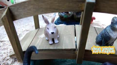 Rabbits Love to Play in the Sand and Make Holes for House