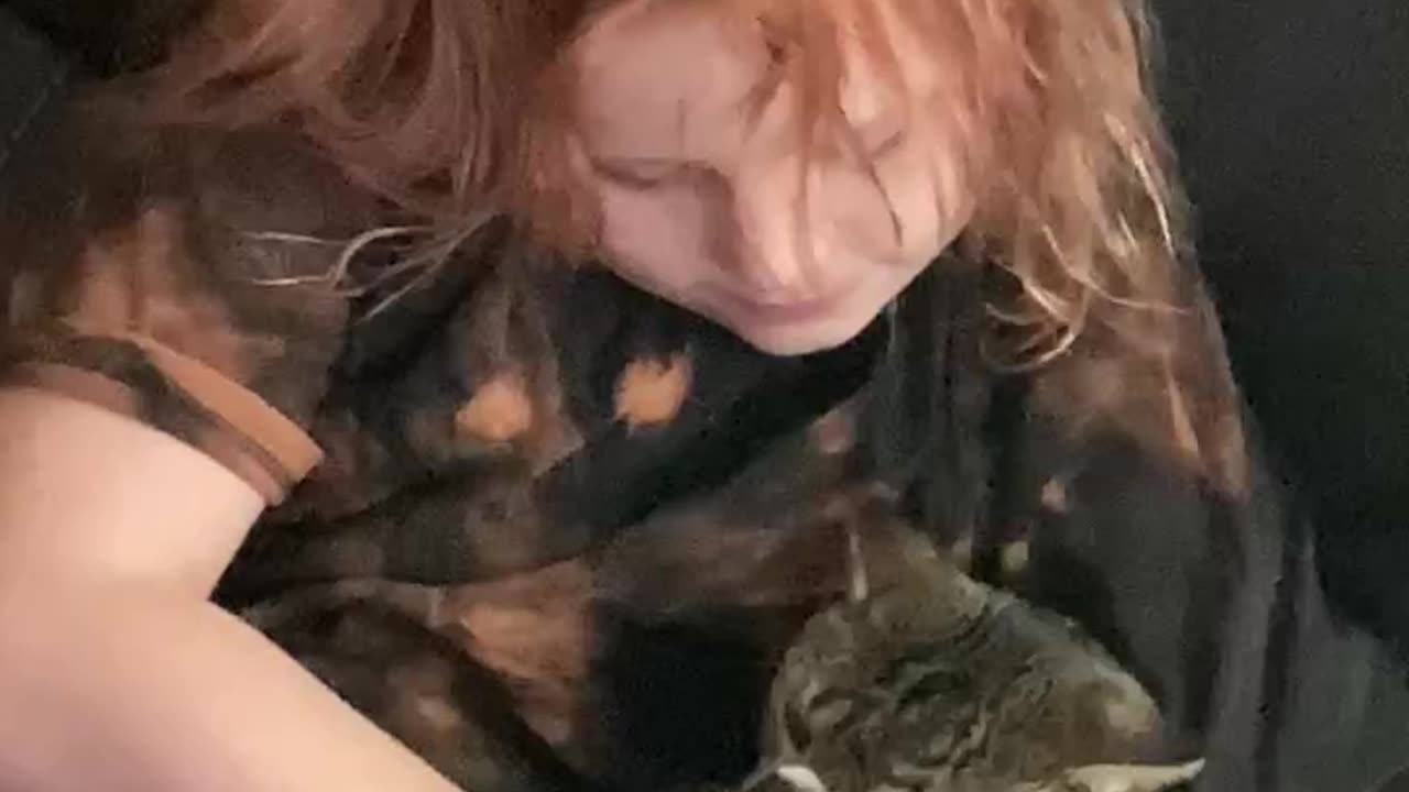 Trinity meets Chloe the cat