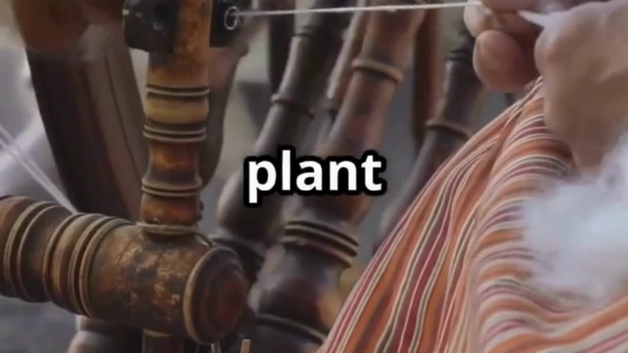 🌿✨ The Journey of Cotton: From Field to Fabric ✨🌿