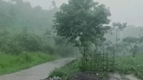 You Only Need the Sound of Heavy Rain & Thunder to Sleep More Deeply