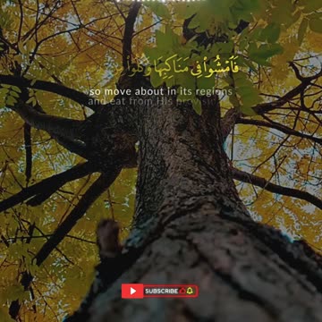 Surah Al-Mulk Ayat 13-15 | Beautiful Quran Recitation with Urdu & English Translation | Al Qamar
