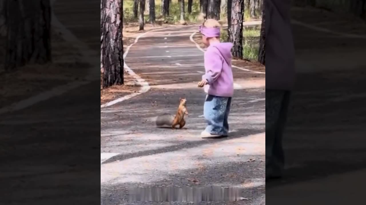 A selection of funny moments with animal #39