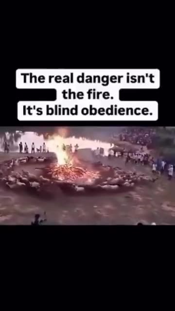 Blinder Gehorsam. 🇨🇦🤦🏻 Blind obedience. 🇨🇦🤦🏻‍_