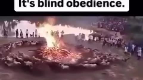 Blinder Gehorsam. 🇨🇦🤦🏻 Blind obedience. 🇨🇦🤦🏻‍_