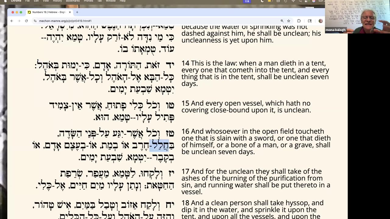 Parasha Chuqath: Numbers 19:1-22:1