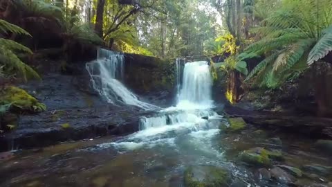 Nature of a beautiful place around us