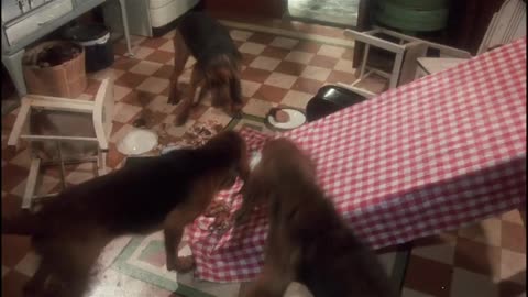019. A Christmas Story (1983) - The Dogs Eat Christmas Dinner Scene Movieclips