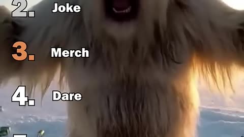 Best AI Bigfoot Yeti Vlog Moments