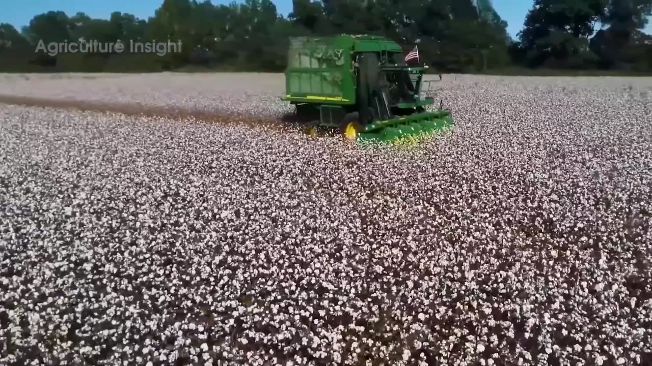 How MILLIONS of Bamboo Products 🎋 Are Made | Incredible Straw & Toothbrush Factory Processing!