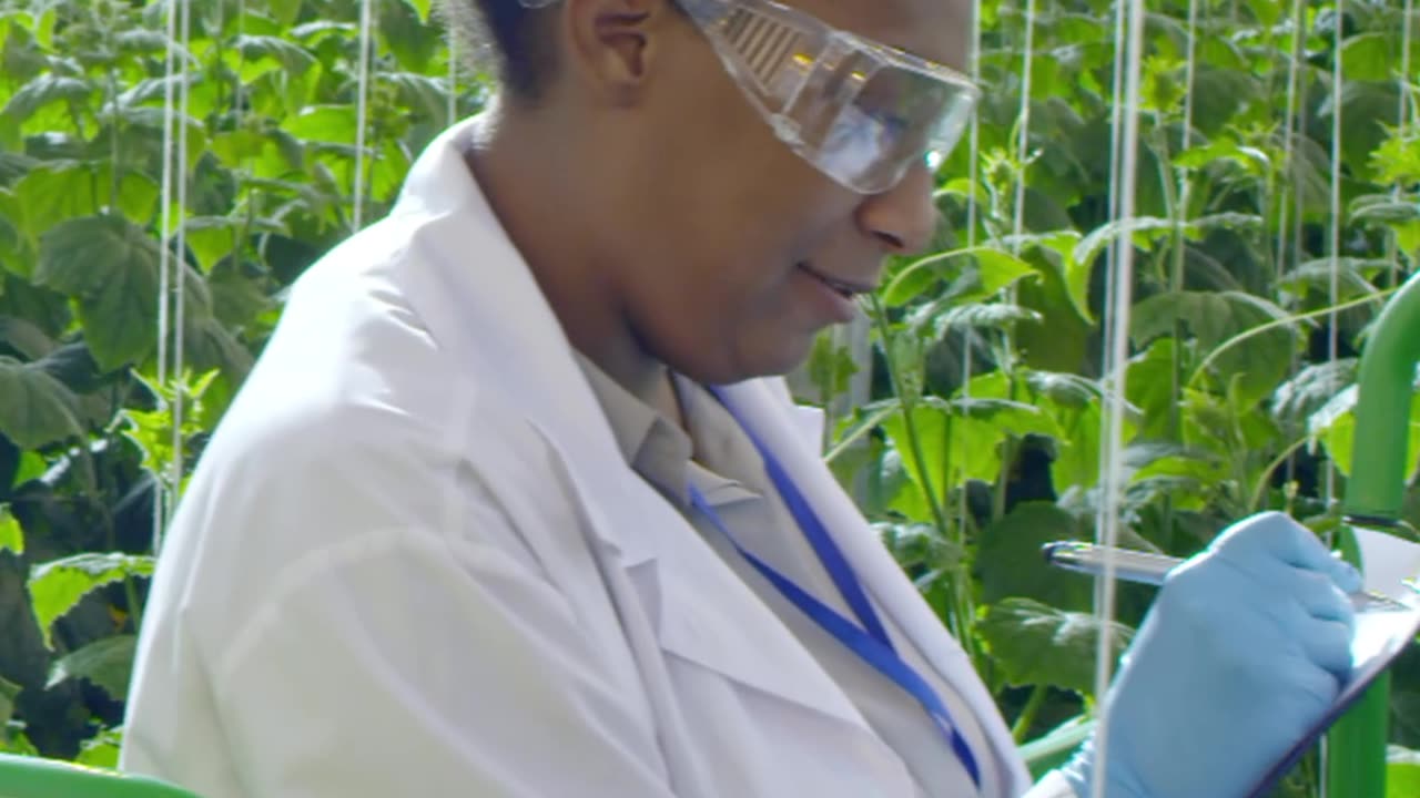 Moringa the best treatment, buy it now from video description