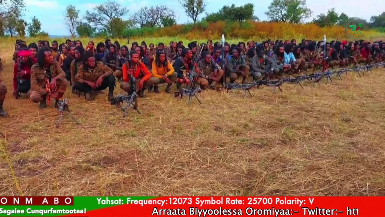 Gabaasa Tarkaanfii ONM-ABO Caamsaa 22-2025 itti dhiyaadhaa!