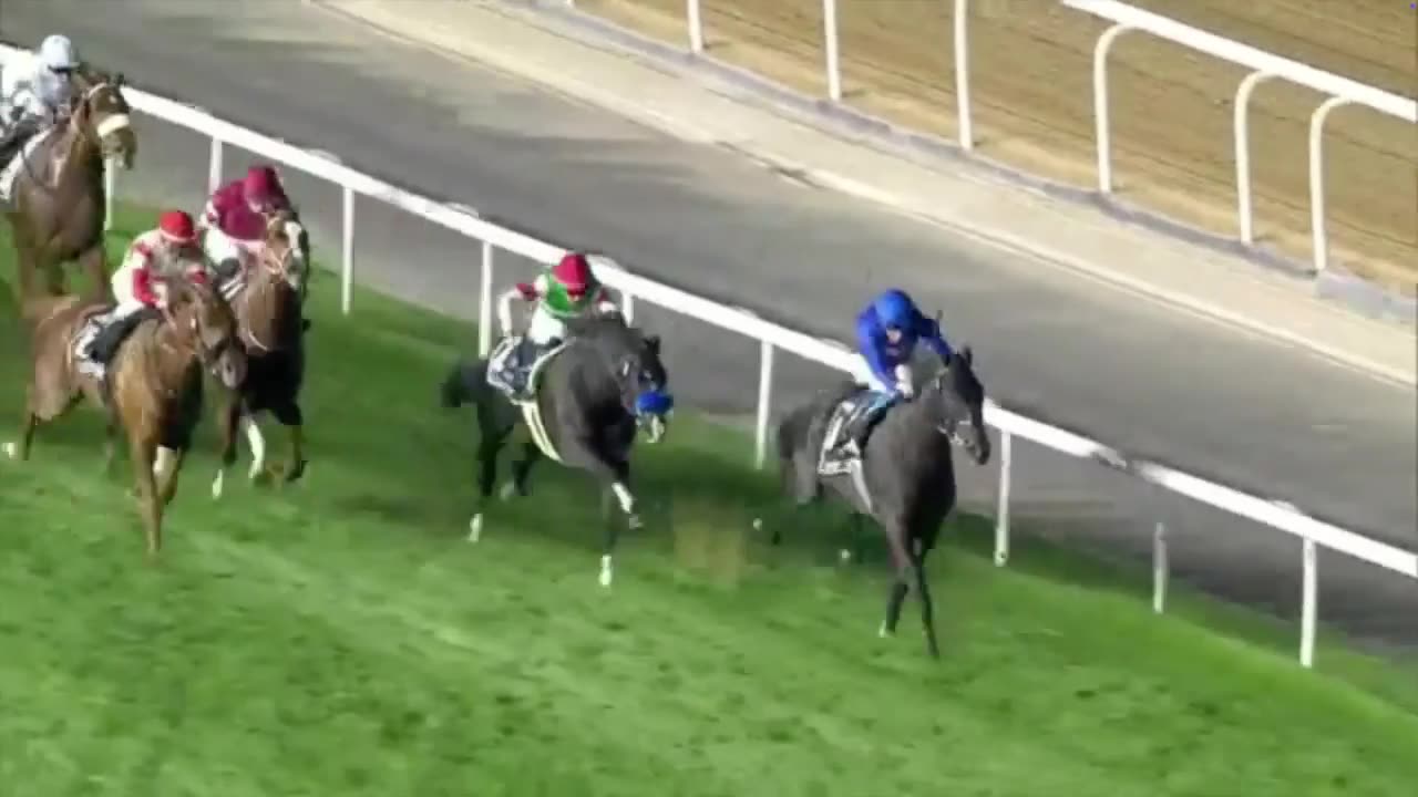 2025 Dubai Sheema Classic | Danon Decile, Calandagan, Rebel’s Romance