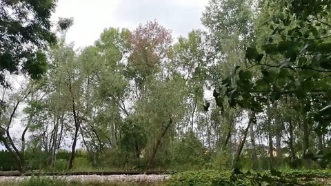 zawsze do przodu ...