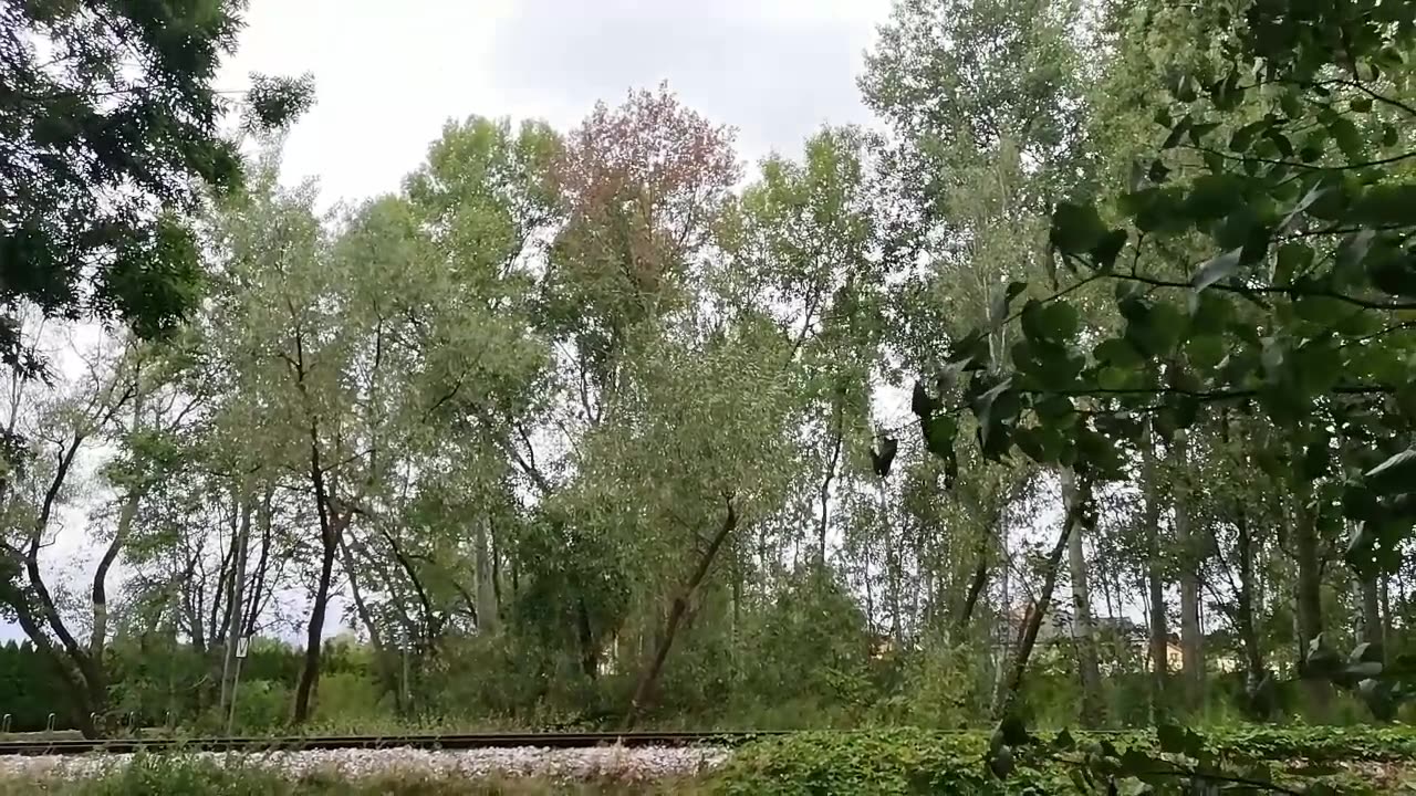 zawsze do przodu ...
