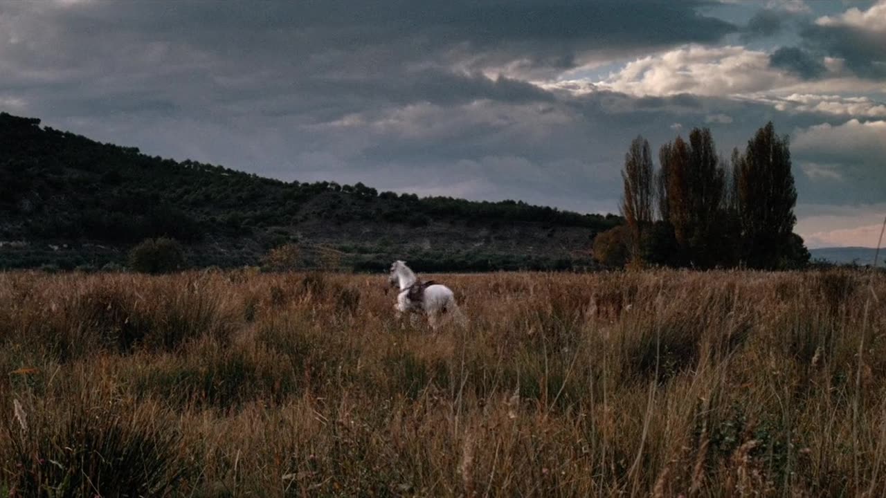Rustlers' Rhapsody (1985)