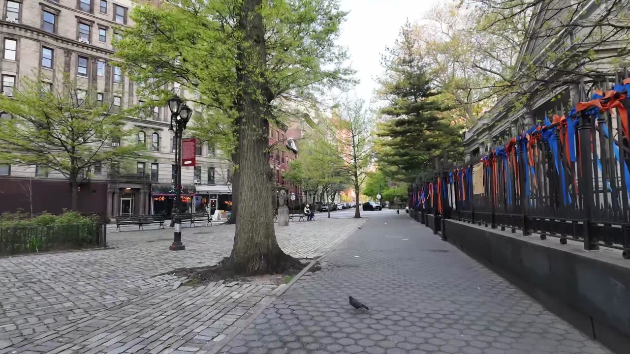 New York City LIVE Walking (chat on YouTube)