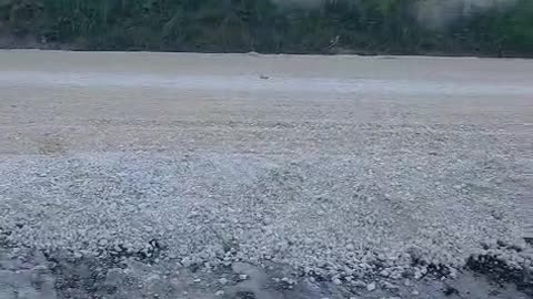 VIDEO/ Asfalt elektoral në Ardenicë të Kolonjës, Lushnje