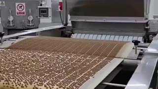 🐶 🤬 Cardboard Boxes Ground Up to Make Dog Food? WTF? Looks Like China is Doing This...