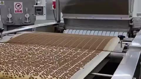 🐶 🤬 Cardboard Boxes Ground Up to Make Dog Food? WTF? Looks Like China is Doing This...