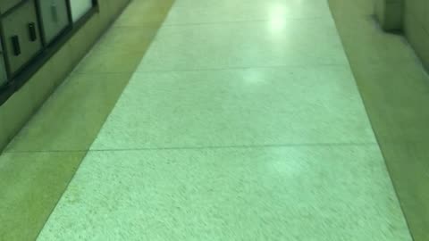 AUGUST 8 2025 AT CRANBERRY MALL PART 1