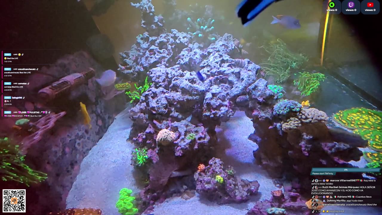 24/7 Real Live Reef Stream