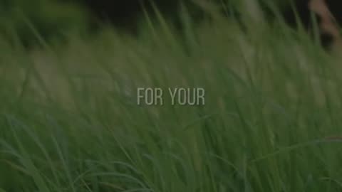 🕊️🙏 End of Year Prayer 2024 | Peace & Blessings Ahead | InGodWeTrustDaily