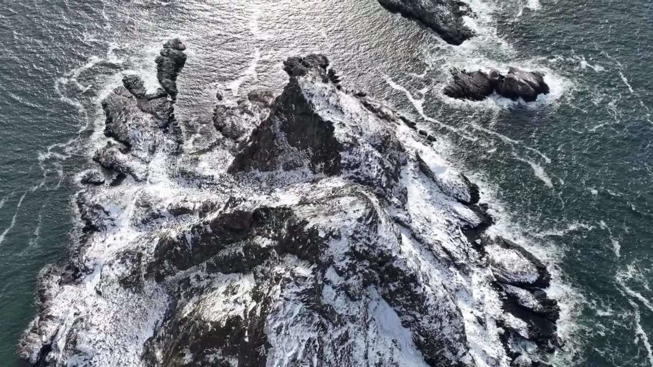 Czym jest Prawo Naturalne? | Intro do kanału