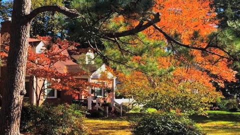 The Seasons at Riverside Drive