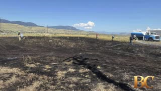 A bird dropped a fish on power lines and sparked a brush fire in Canada, firefighters say