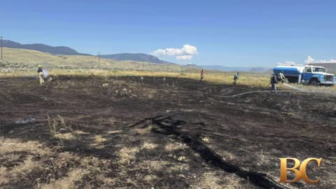 A bird dropped a fish on power lines and sparked a brush fire in Canada, firefighters say
