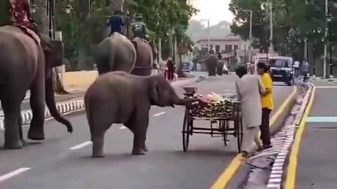 😂🍌 Inspector's Banana Payment is Gold! | FunFM