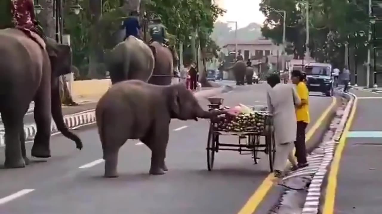 😂🍌 Inspector's Banana Payment is Gold! | FunFM