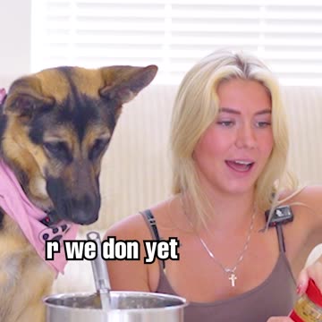 NEVER bake with your dog...