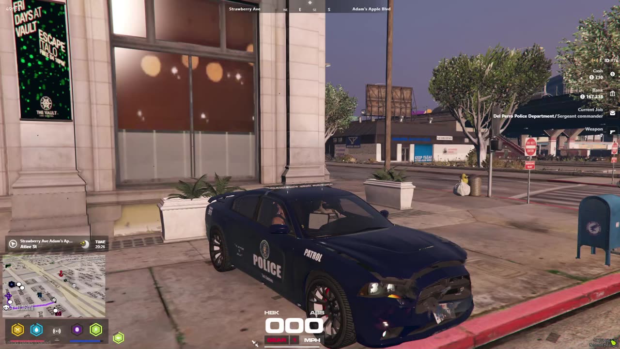 NOT Lt. Velvet Of Del Perro PD in !BrigherTimesRP - D-Ass-Culation Division