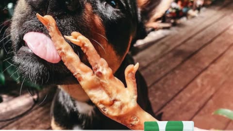 Our Most Popular Dog Treats | Oh My Paws Favourites